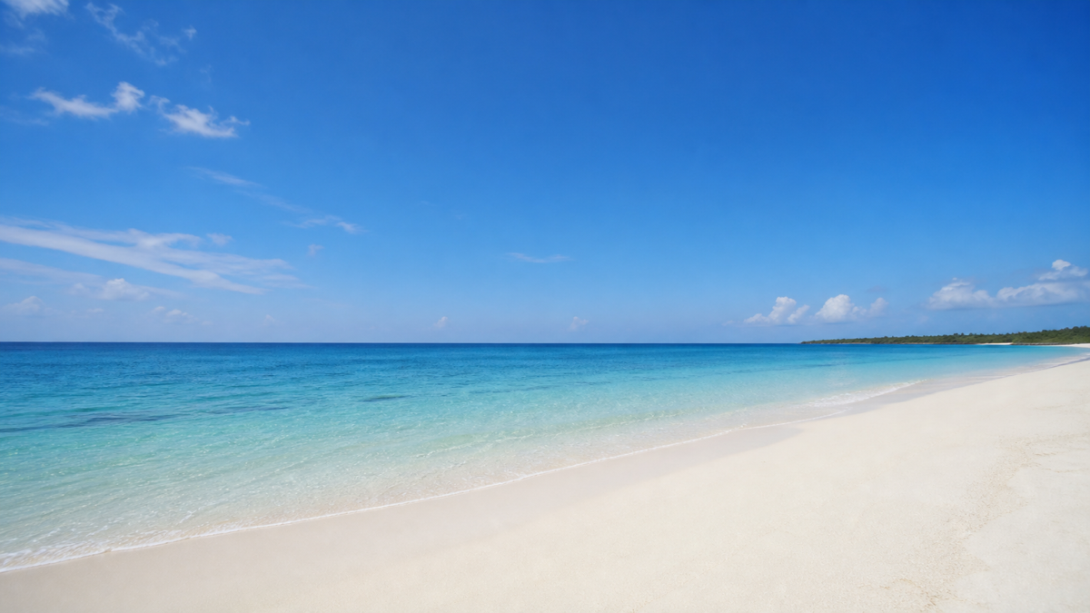 白い砂浜と青い海が広がる開放的な海岸の風景