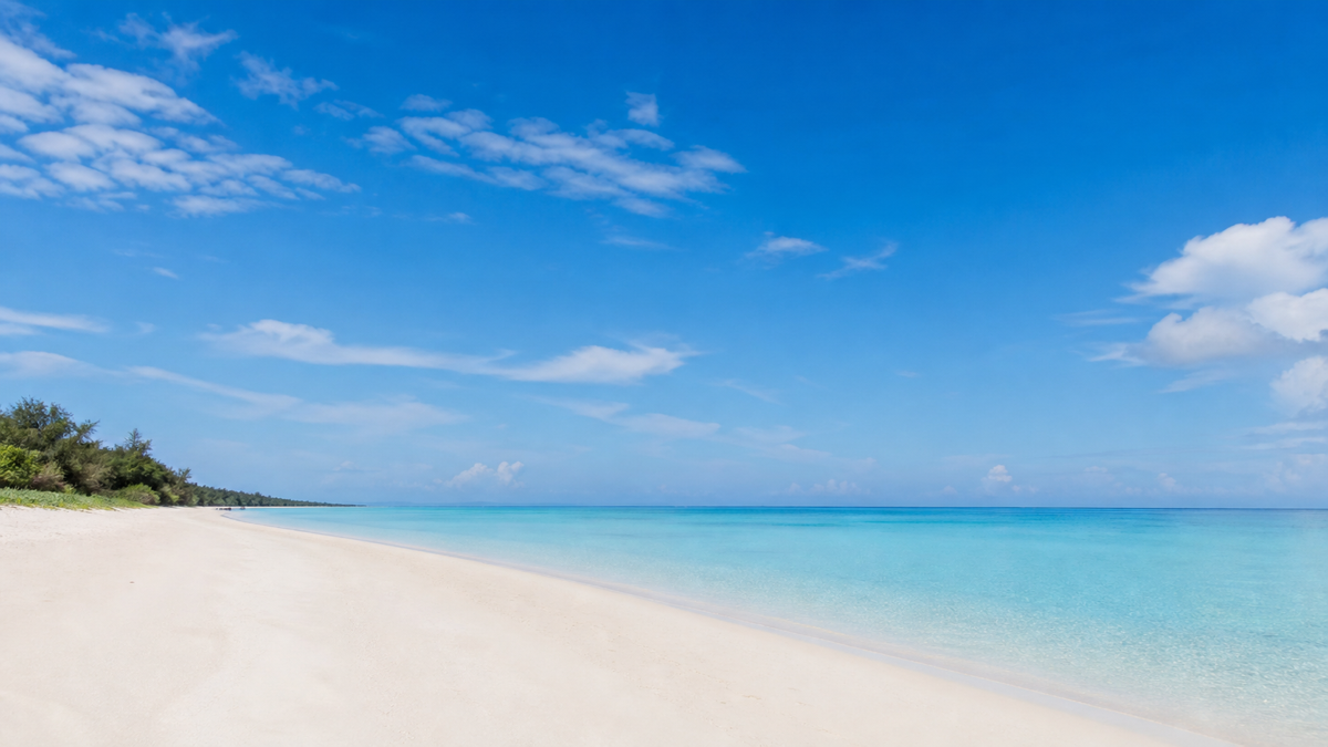 白い砂浜と青い海が広がる風景
